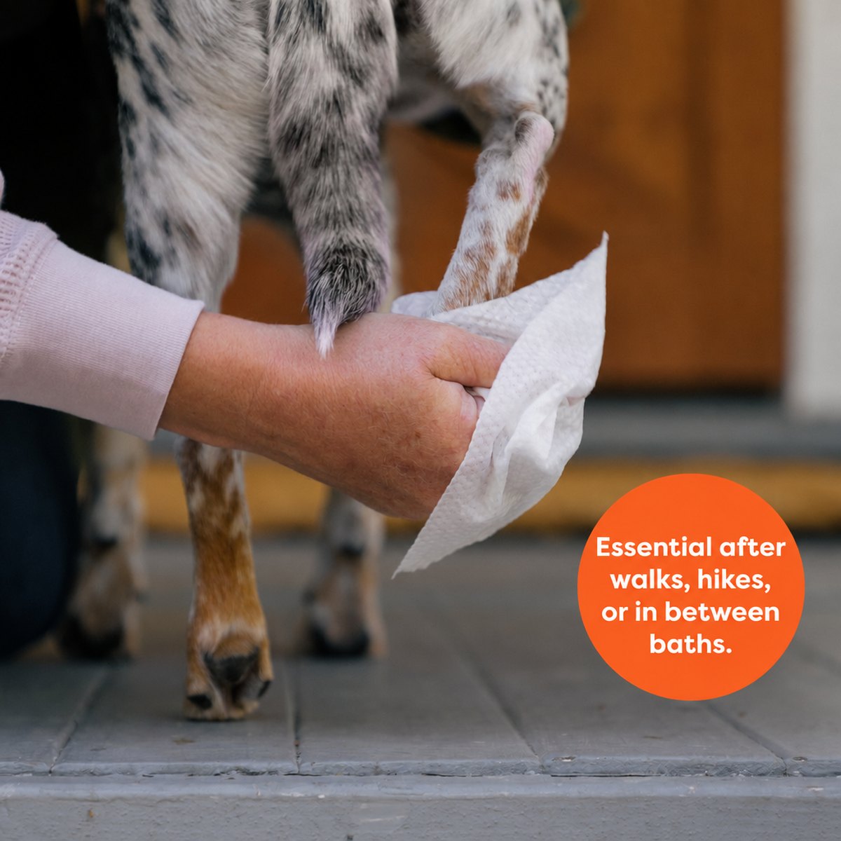 Wiping a dog paw after a walk