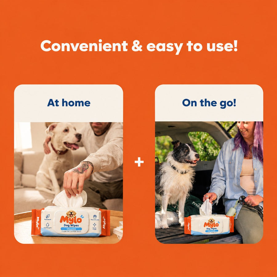 Convenient at home and on the go
